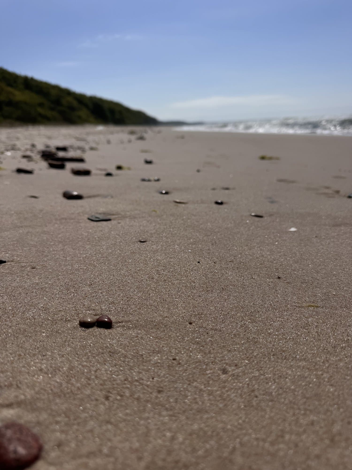 psycholog Gdynia
